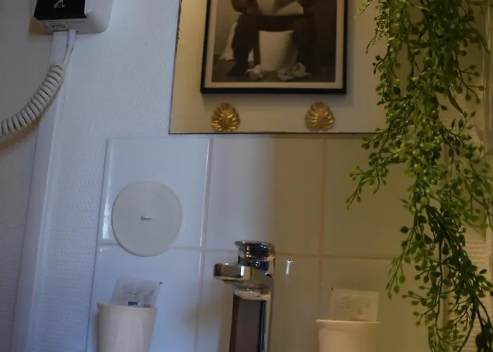 Les Demoiselles הונפלר